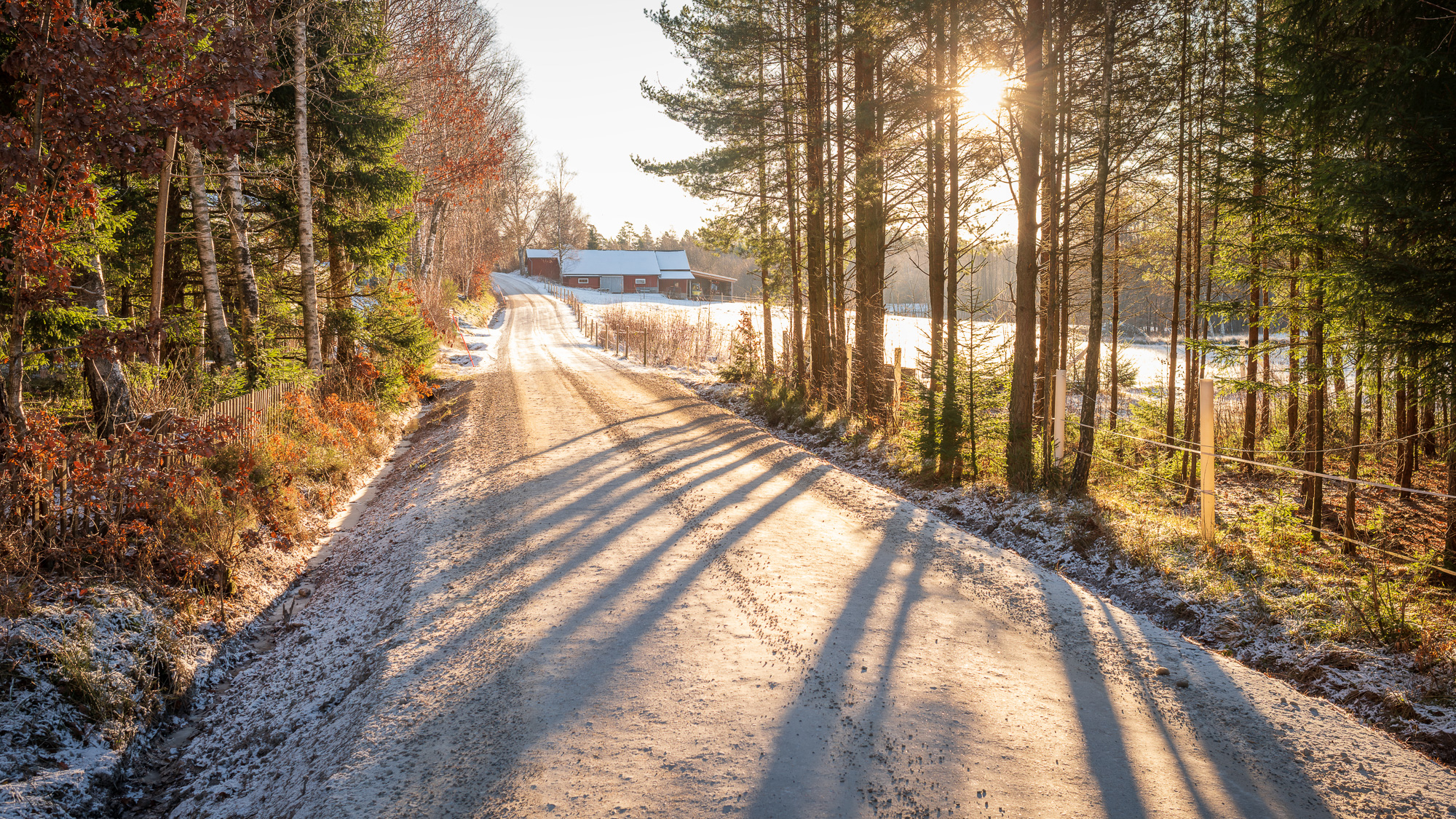 Long shadows