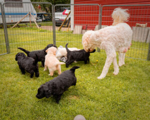 Cooper visits his babies