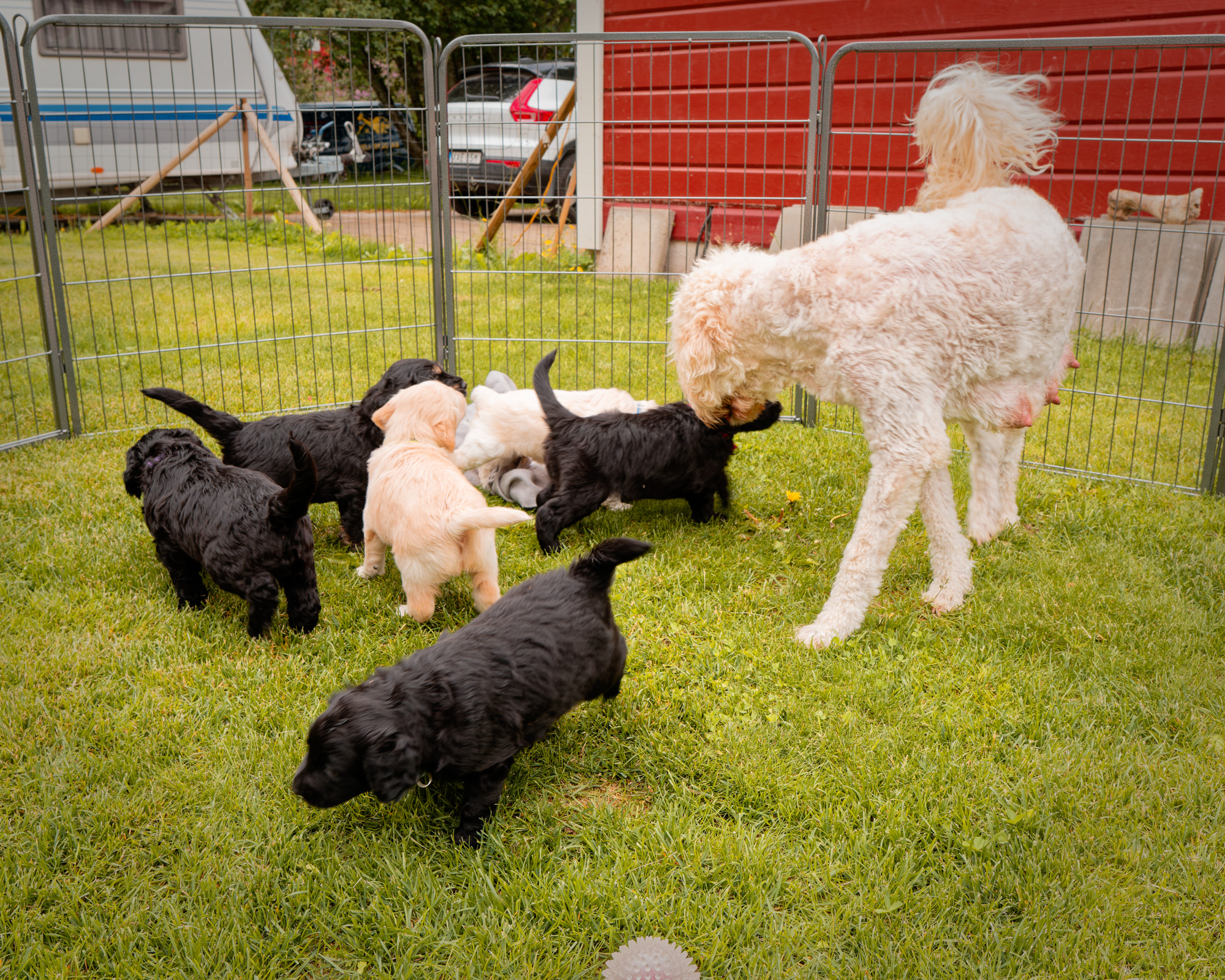 Cooper visits his babies