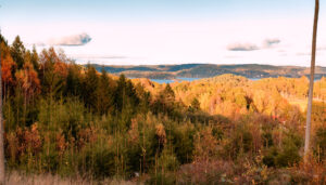 Colours of October