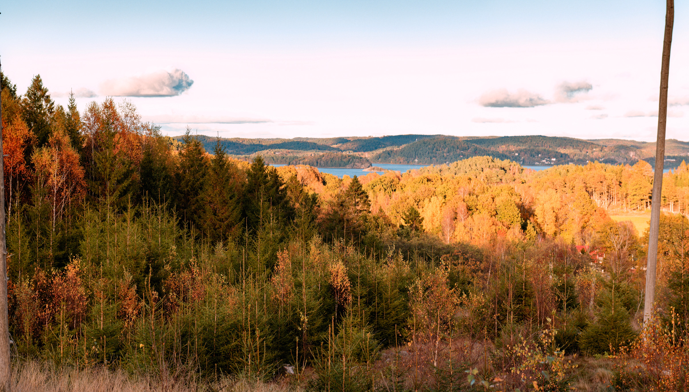 Colours of October